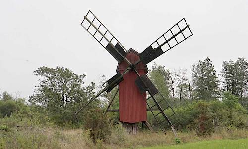 Foto: Stefan Svenaeus 2023