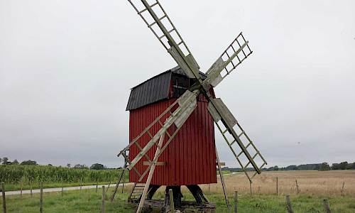 Foto: Stefan Svenaeus 2023