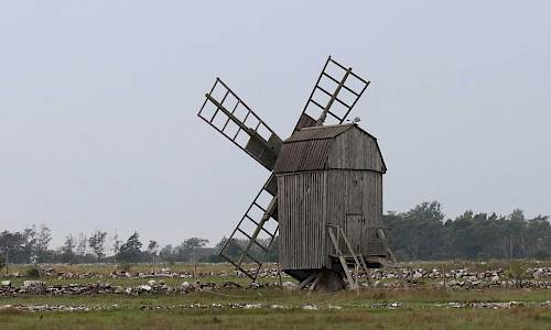 Foto: Stefan Svenaeus 2023