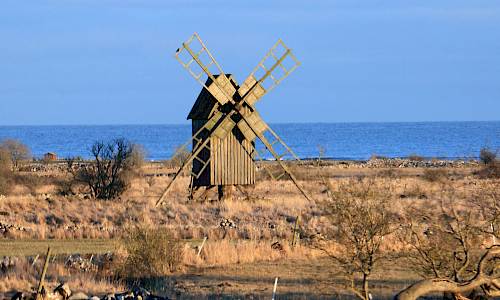 Foto: Stefan Svenaeus 2024