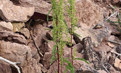 Foto: Stefan Svenaeus