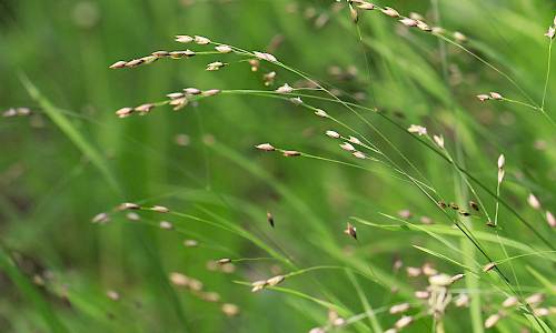 Foto: Stefan Svenaeus