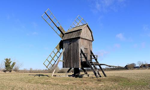 Foto: Stefan Svenaeus 2024