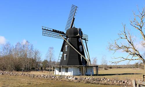 Foto: Stefan Svenaeus 2024