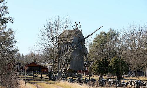 Foto: Stefan Svenaeus 2024