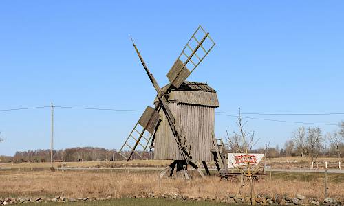 Foto: Stefan Svenaeus 2024