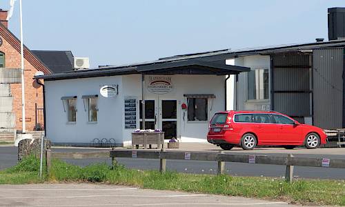 Foto: Stefan Svenaeus 2024