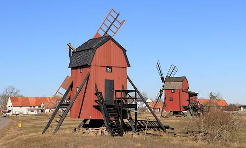 Foto: Stefan Svenaeus 2024