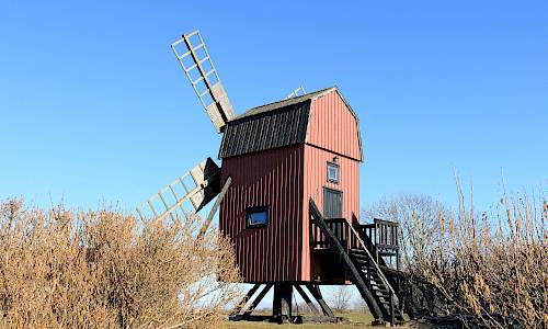 Foto: Stefan Svenaeus 2024