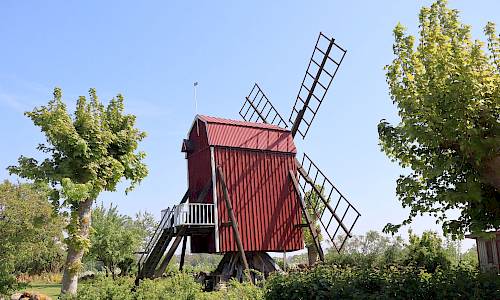 Foto: Stefan Svenaeus 2024