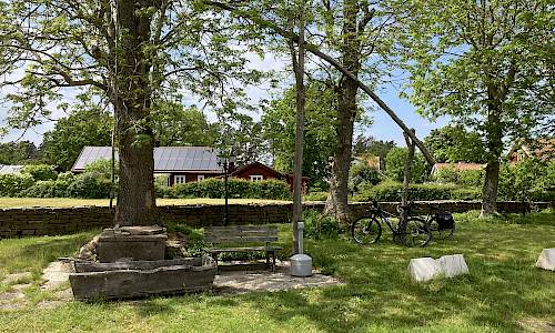 Foto: Stefan Svenaeus 2024