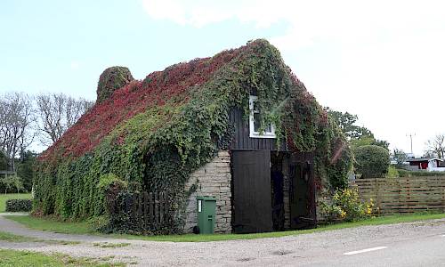 Foto: Stefan Svenaeus 2023