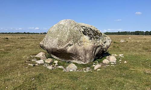 Foto: Stefan Svenaeus 2024