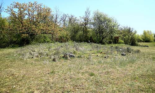 Foto: Stefan Svenaeus 2023
