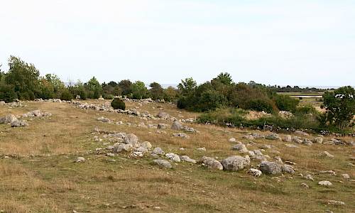 Södra Greda järnåldersby Foto: Stefan Svenaeus 2013