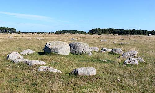 Foto: Stefan Svenaeus 2024