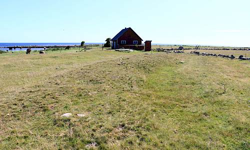 Foto: Stefan Svenaeus 2024