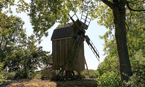 Foto: Stefan Svenaeus 2024