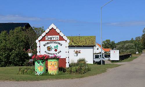 Foto: Stefan Svenaeus 2024