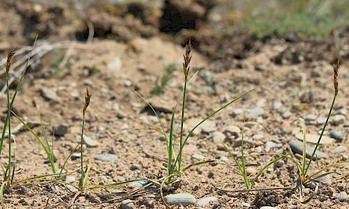 Foto: Stefan Svenaeus