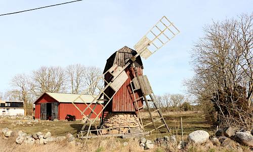Foto: Stefan Svenaeus 2025