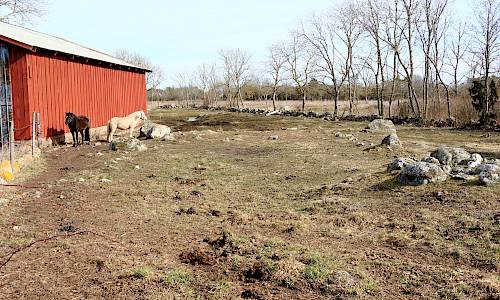 Foto: Stefan Svenaeus 2025