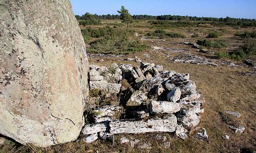 Foto: Stefan Svenaeus 2015