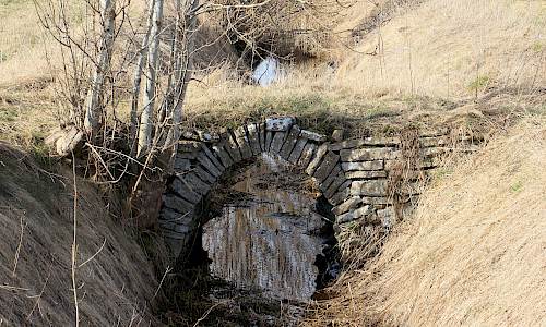 Foto: Stefan Svenaeus 2025