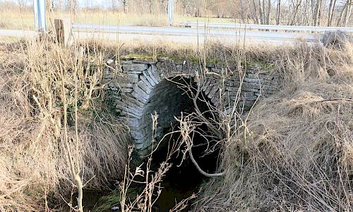 Foto: Stefan Svenaeus 2025