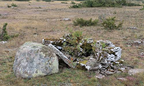 Foto: Stefan Svenaeus 2025