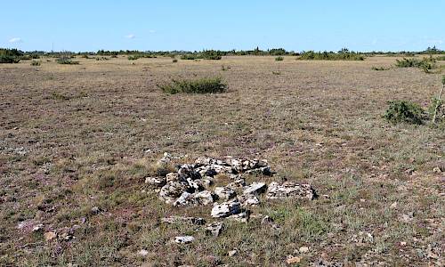 Foto: Stefan Svenaeus 2025