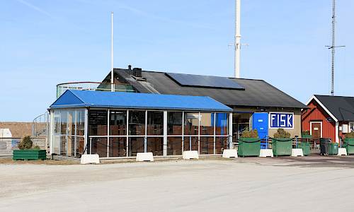 Foto: Stefan Svenaeus 2025