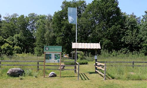 Foto: Stefan Svenaeus 2025