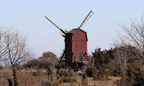 Foto: Stefan Svenaeus 2024