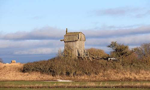 Foto: Stefan Svenaeus 2024