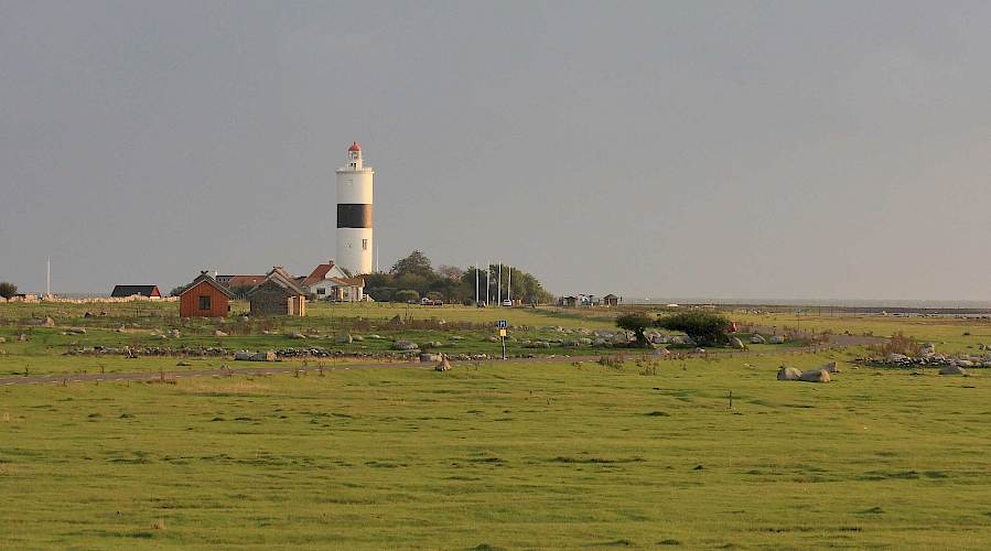 Öland på hösten – platser, natur och fika när sommaren lagt sig