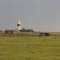 Läs om vad du kan göra på Öland under hösten