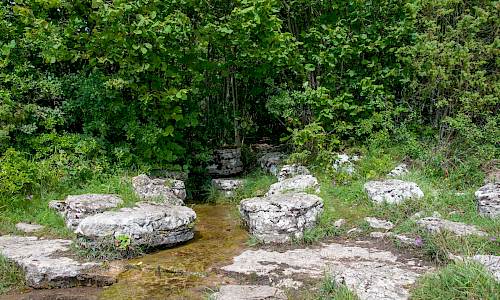 Torrörs källa. Foto Mats Neander.