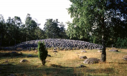 Foto: Stefan Svenaeus