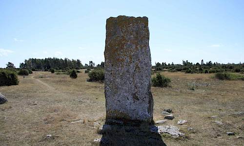 Tingstad flisor (norra flisan) Foto: Stefan Svenaeus