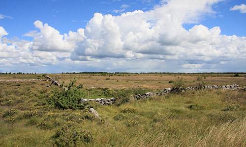Foto: Stefan Svenaeus 2013