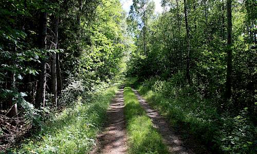 En cykelled går i västra gränsen av reservatet. Foto: Stefan Svenaeus 2014