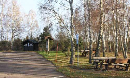 Foto: Stefan Svenaeus