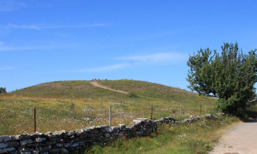Foto: Stefan Svenaeus
