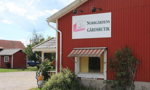 Foto: Stefan Svenaeus