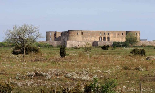 Foto: Stefan Svenaeus