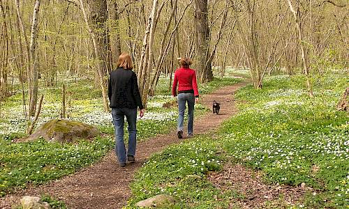 Foto: Stefan Svenaeus 2004