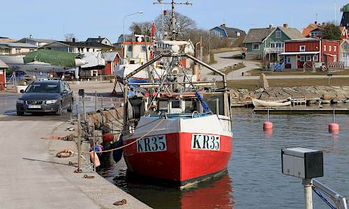 Foto: Stefan Svenaeus 2025