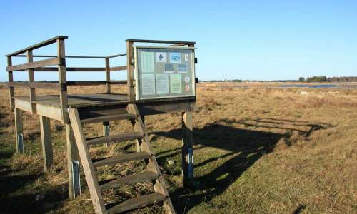 Foto: Stefan Svenaeus