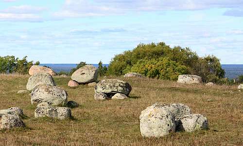 Foto: Stefan Svenaeus
